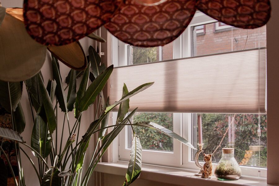 Raambekleding schoonmaken in de woonkamer